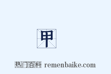 甲殼是什么意思的图片